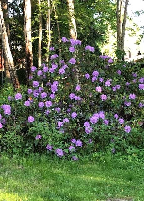 2 rum Vinterbonat fritidshus på Pumpstigen 7 Sundänge Köpings kommun - bild 26