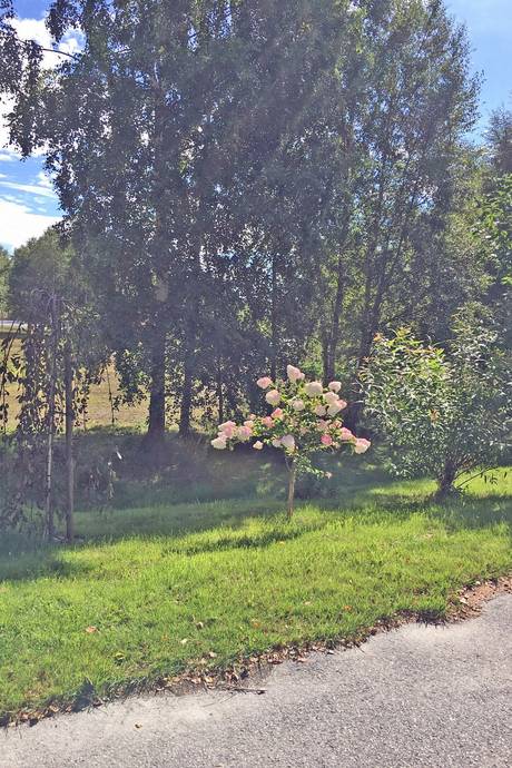 6 rum Villa på Landsvägen 18 Rabbalshede Tanums kommun - bild 23