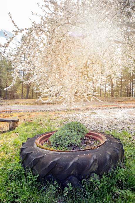 3 rum Vinterbonat fritidshus på Gladhammar Andersbo Västervik Västerviks kommun - bild 48