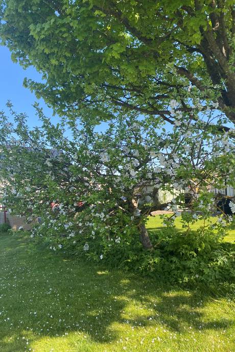 3 rum Fritidshus på Mellersta Knebildstorp 69 Knebildstorp Halmstads kommun - bild 32