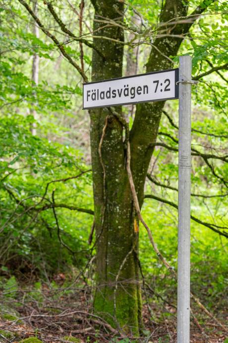 Tomt på Drömtomt med generösa 13 hektar – positivt förhandsbesked, jakträtt och vacker natur nära Billinge! Billinge Eslövs kommun - bild 5