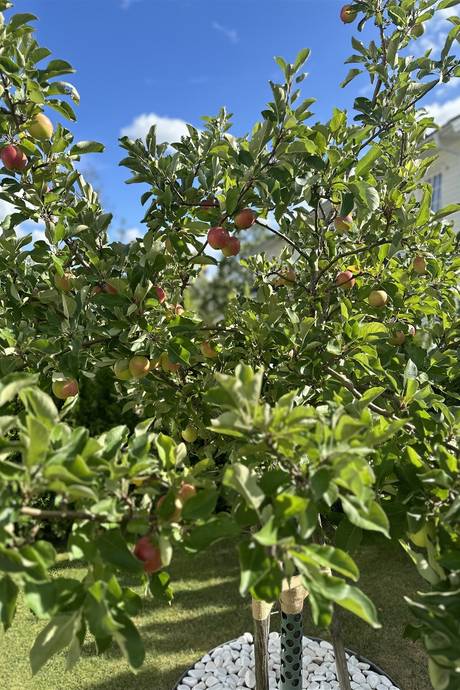 6 rum Parhus på Ardennervägen 2h Svinninge Österåkers kommun - bild 6