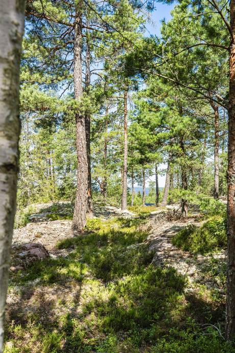 2 rum Fritidsboende på Lugnets stig 6 Slätviken Eskilstuna kommun - bild 31