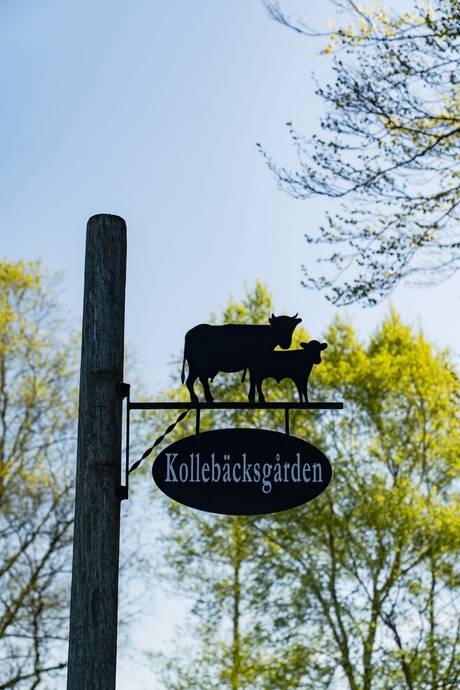 200 m² Gård utan jordbruk på Krokhusvägen 325 Ängelholm Ängelholms kommun - bild 82