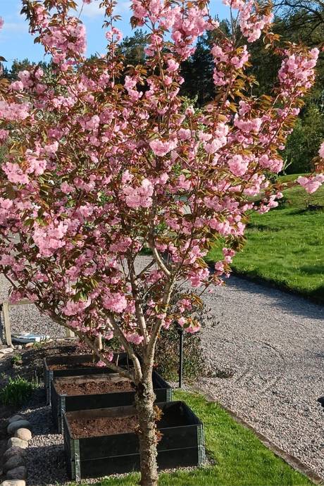 6 rum Vinterbonat fritidshus på Tinderedsvägen 8 Helgenäs Västerviks kommun - bild 63