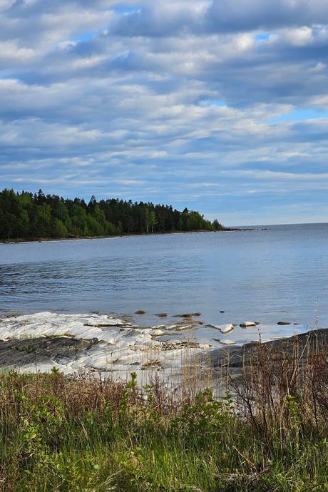 Gård/skog Bena Hammarö kommun - bild 10