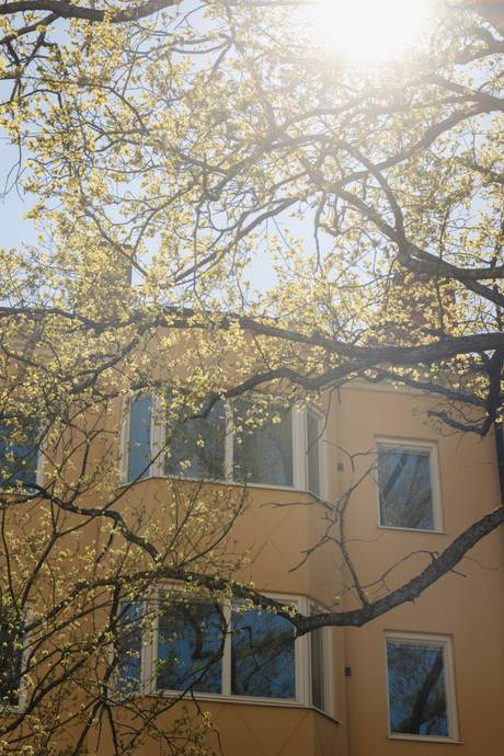 2 rum Lägenhet på Vapengatan 12 Aspudden Stockholms kommun - bild 35