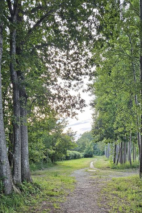 5 rum Villa på Östra Sömmerskestigen 22 Gotlands kommun - bild 27