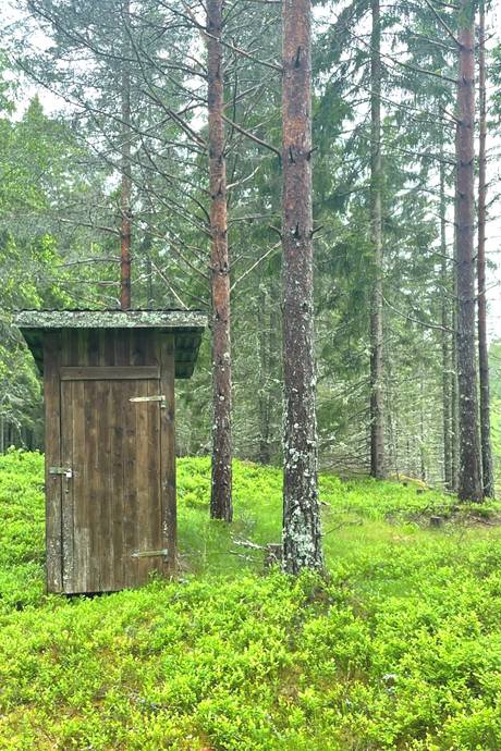 Gård/skog på LYSSÅS Karlanda Årjängs kommun - bild 10