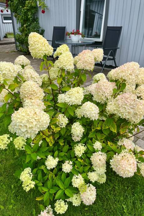 3 rum Villa på Slättnes väg 1 Nyehusen Kristianstads kommun - bild 35