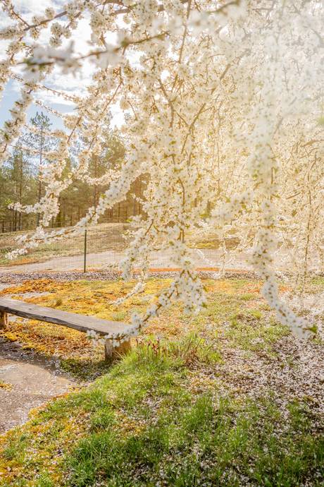 3 rum Vinterbonat fritidshus på Gladhammar Andersbo Västervik Västerviks kommun - bild 34