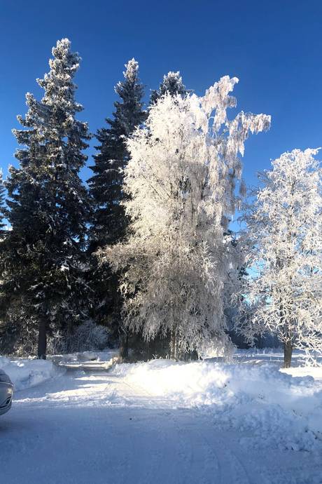 4 rum Vinterbonat fritidshus på Östbjörka Kattbacksvägen 19 Östbjörka Rättviks kommun - bild 31