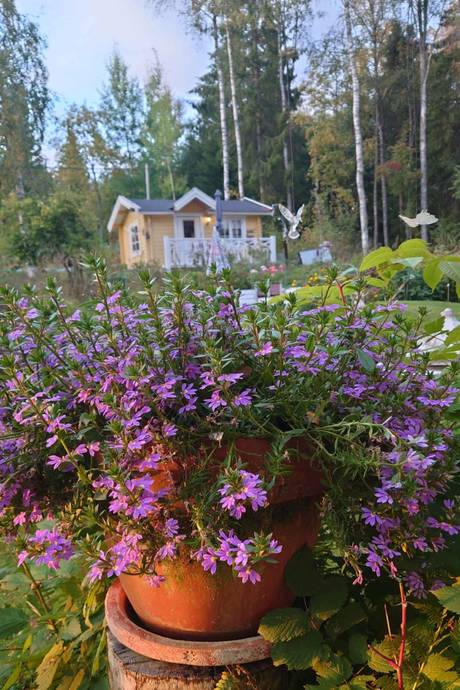 2 rum Fritidshus på Hagsandsvägen 49 Ludvika kommun - bild 37