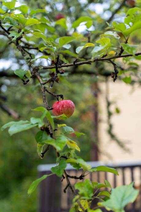 3 rum Villa på Stava Vilhelmsro 1 Gränna - Vida Vättern Ödeshögs kommun - bild 27