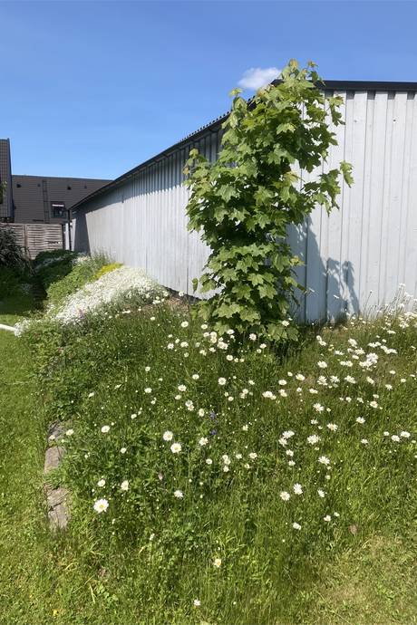 3 rum Radhus på Ängvaktarvägen 51 Långängen Hallsbergs kommun - bild 24
