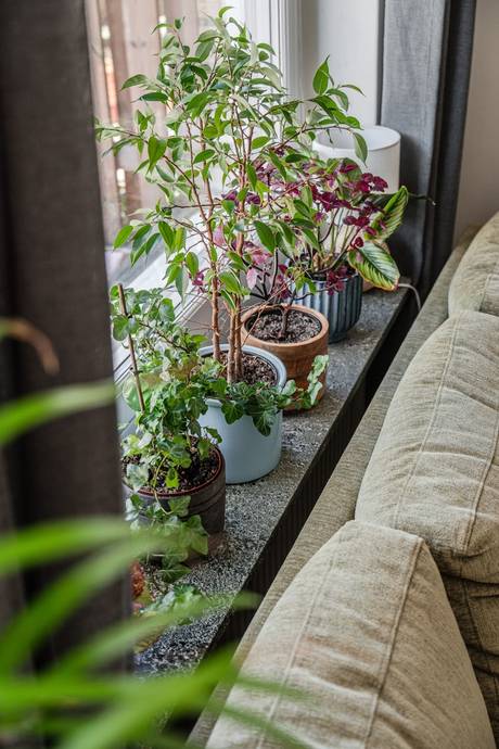 1 rum Lägenhet på Torkelsgatan 34B Höganäs Uppsala kommun - bild 7