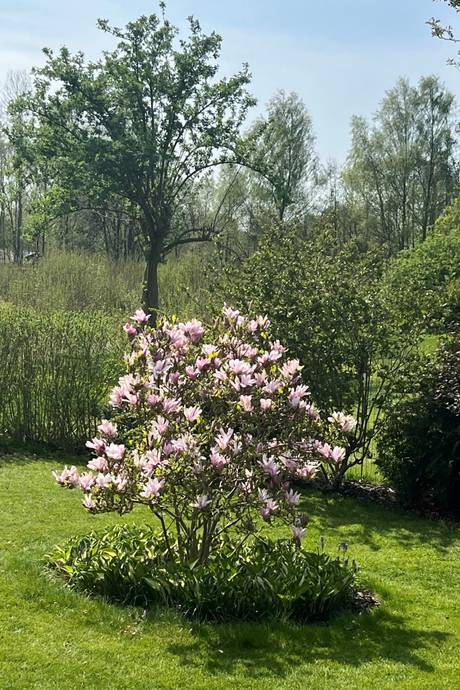 4 rum Villa på Almliden 25 Örkelljunga Örkelljunga kommun - bild 20