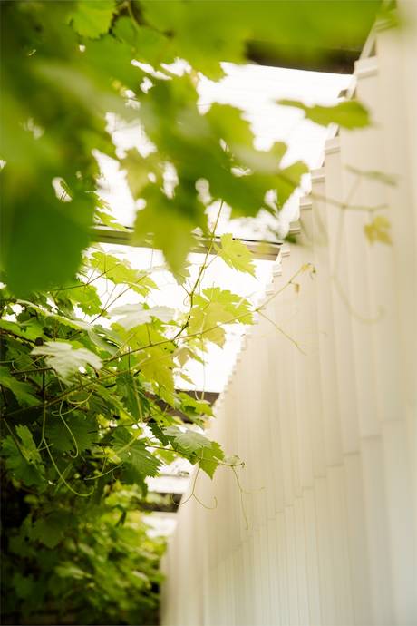 4 rum Villa på Tågebjersvägen 1 Käglinge Malmö kommun - bild 36