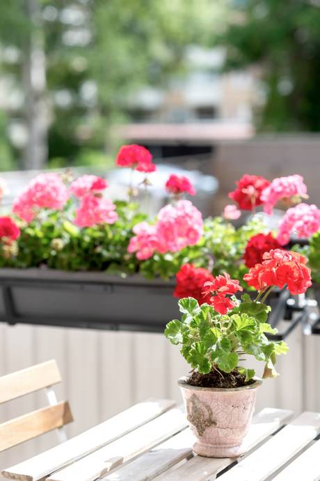 3 rum Lägenhet på Höganäsgatan 3B Höganäs Uppsala kommun - bild 10