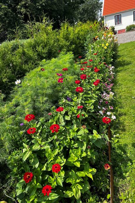 6 rum Villa på Bjärrödsvägen 17 Bjärsjölagård Sjöbo kommun - bild 29