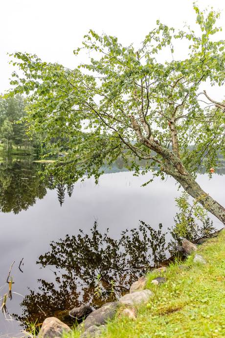 3 rum Vinterbonat fritidshus på Faluvägen 269 Ludvika kommun - bild 32