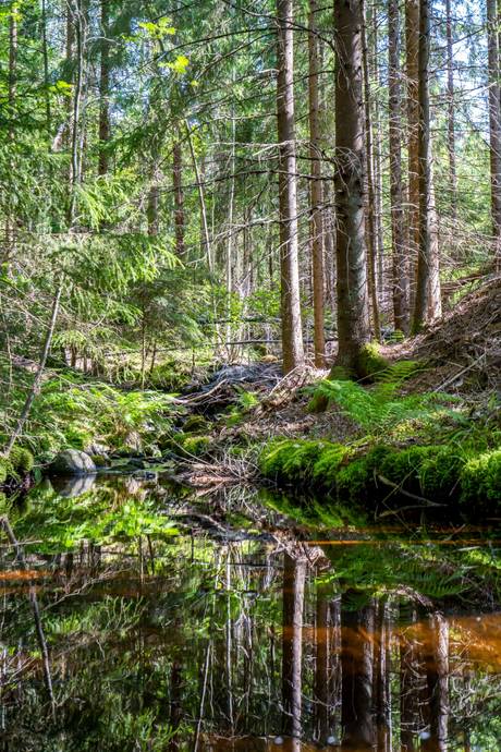 5 rum Gård med jordbruk på Kallernäs Dalhem 190 Kallernäs Lindesbergs kommun - bild 50