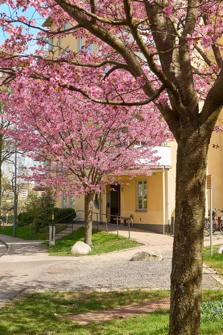2 rum Lägenhet på Segelbåtsvägen 12, 5 tr Kungsholmen - Stora Essingen Stockholms kommun - bild 23