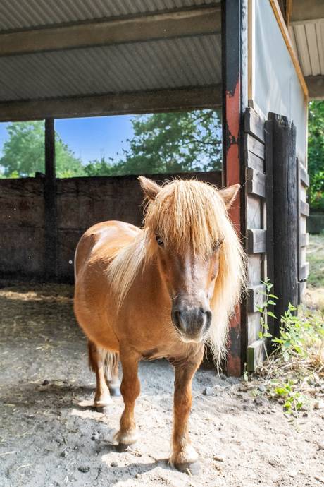 191 m² Gård utan jordbruk på Torarpsvägen 291 Torarp Karlshamns kommun - bild 63