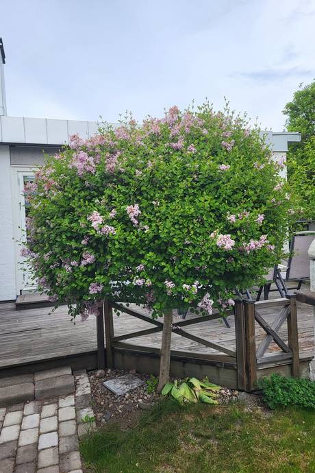 5 rum Kedjehus på S:t Johannesgatan 11 Klingsberg Norrköpings kommun - bild 34