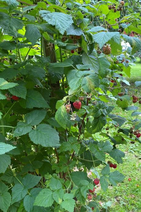 5 rum Villa på Faluvägen 23 Insjön Leksands kommun - bild 28