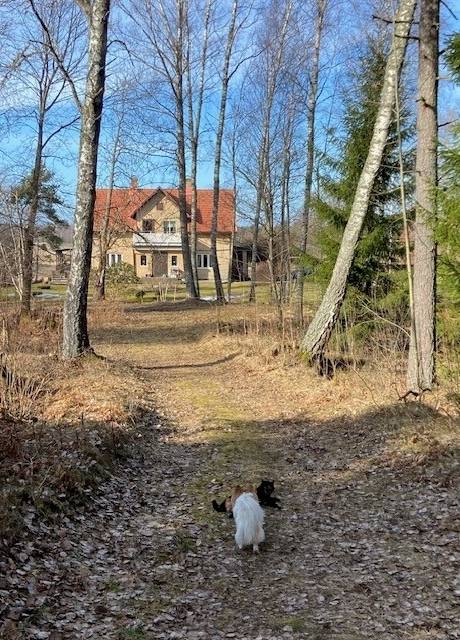 7 rum Villa på Järnbol Dammlyckan   Säffle kommun - bild 55