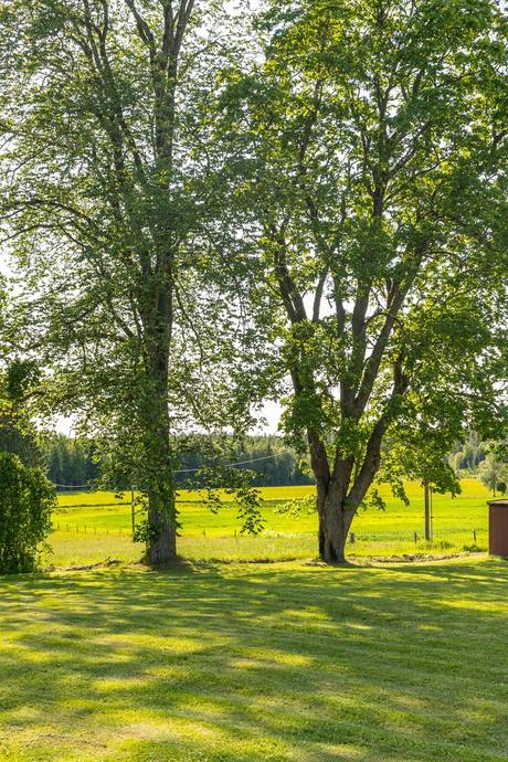 4 rum Villa på Fräckestad Tovatorp 1 Landsbygd Norra Karlsborgs kommun - bild 54