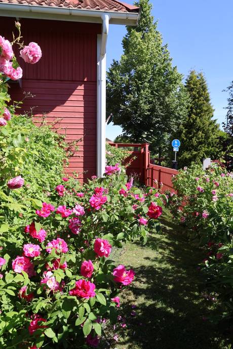 7 rum Villa på Näckrosgränd 4 Frönäs Gnesta kommun - bild 48
