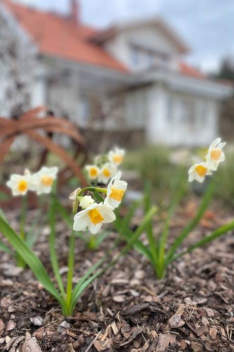 5 rum Villa på Sunnersberg Bergabacken 1 Lidköpings kommun - bild 61