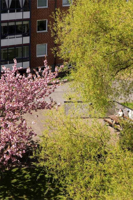3 rum Lägenhet på Tornfalksgatan 8A Söderkulla Malmö kommun - bild 33