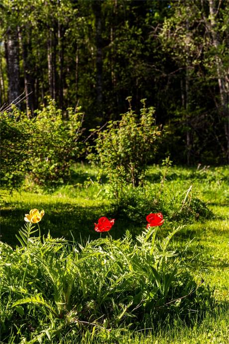 4 rum Vinterbonat fritidshus på Sirsjöberg 21 Hällefors Hällefors kommun - bild 44