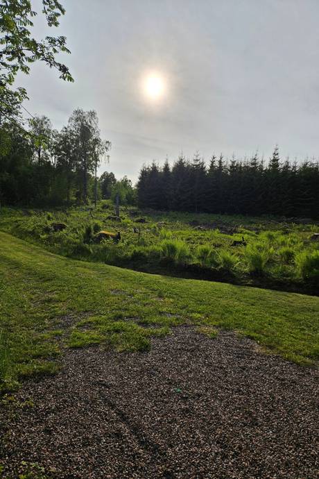 4 rum Fritidshus på Bjurbäck Stughemmet 1 Bjurbäck Mullsjö kommun - bild 18