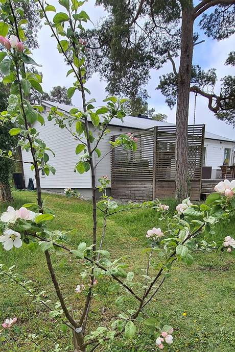 4 rum Villa på Fröjel Hallgårds 806A Fröjel - Ekstakusten Gotlands kommun - bild 33