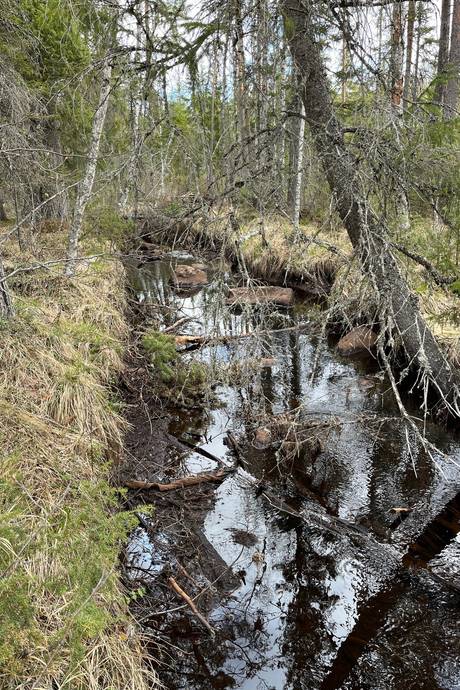 Gård med skogsbruk på Leksand Ytteråkerö 21:21 Björberget Leksands kommun - bild 16