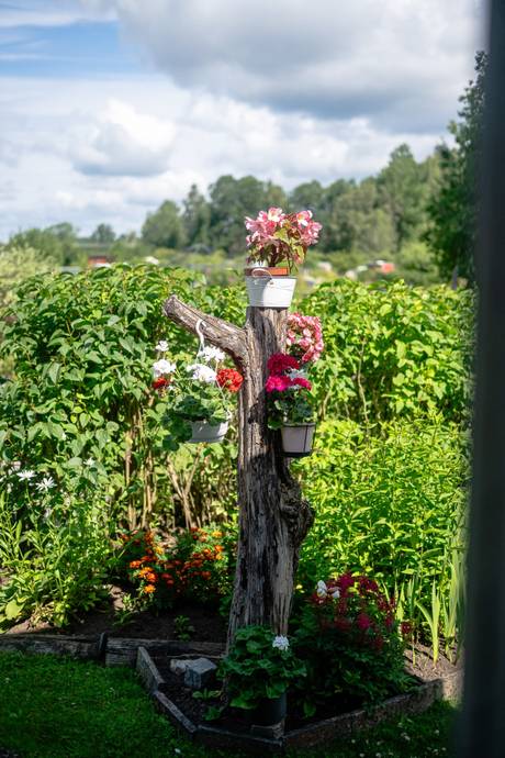 2 rum Fritidshus på Anderslundsvägen 1 Anderslund Nyköpings kommun - bild 32