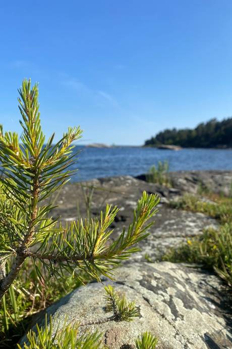 5 rum Villa på Sunnersberg Bergabacken 1 Lidköpings kommun - bild 64