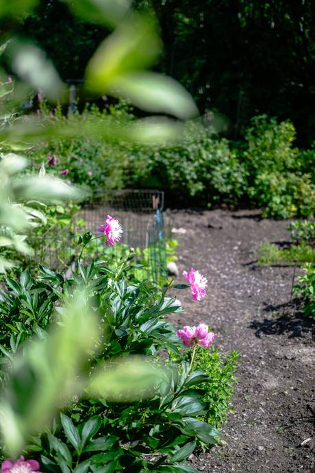 2 rum Fritidshus på Anderslundsvägen 1 Anderslund Nyköpings kommun - bild 10
