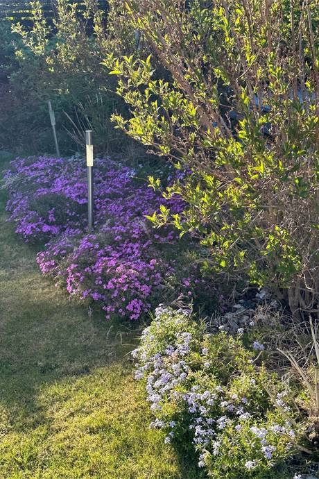 6 rum Villa på Smörsoppsvägen 13 Bärstad Hammarö kommun - bild 34
