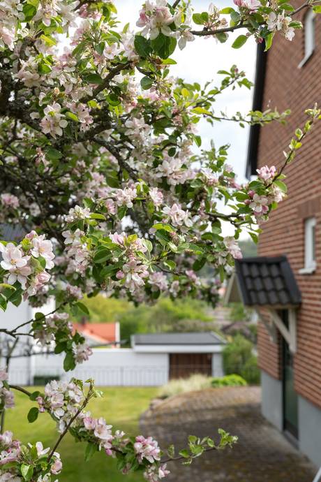 5 rum Villa på Sturegatan 22 Huskvarna Jönköpings kommun - bild 45