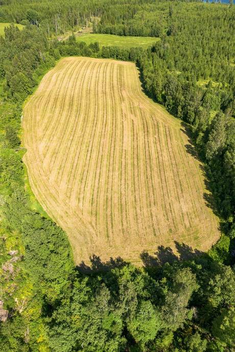 Gård med jordbruk på Näset 255 Näset Ragunda kommun - bild 31