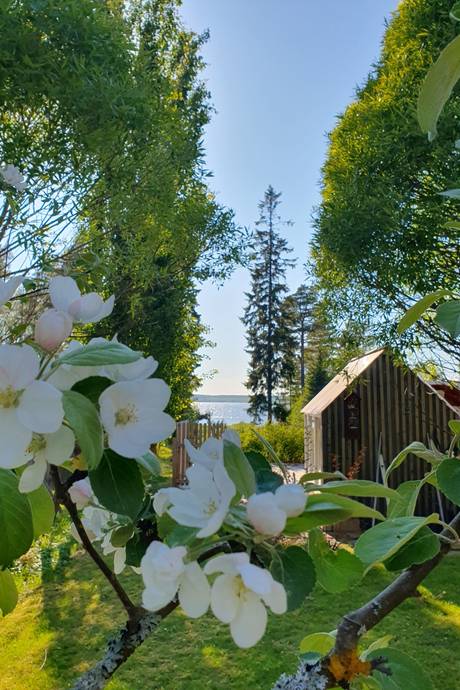 4 rum Villa på Verkholmen 48A Verkholmen, Täfteå Umeå kommun - bild 57