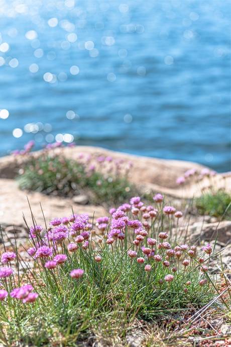 5 rum Villa på Bua 62 Kungshamn Sotenäs kommun - bild 13