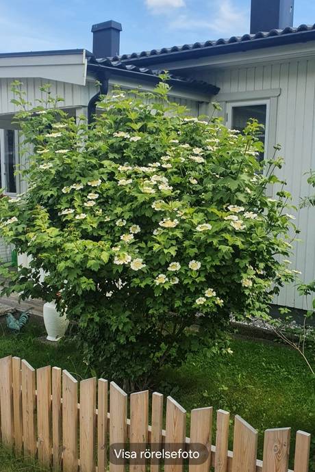4 rum Kedjehus på Sälgstigen 31 Nynäshamn Nynäshamns kommun - bild 38