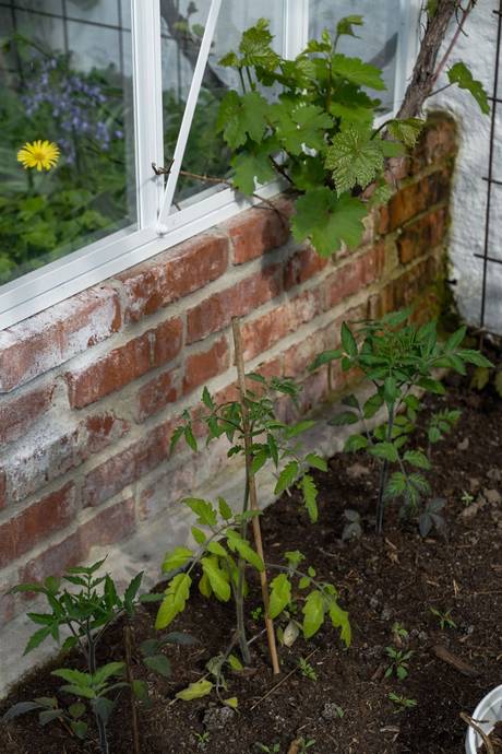 200 m² Gård utan jordbruk på Krokhusvägen 325 Ängelholm Ängelholms kommun - bild 93