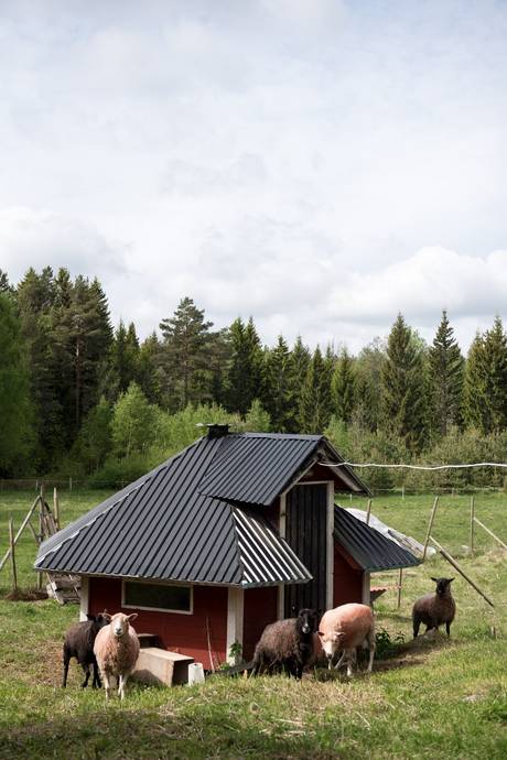 6 rum Gård utan jordbruk på Möklinta Hebo 112 Möklinta Sala kommun - bild 63